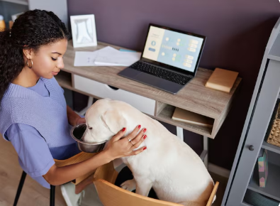 Dashboard Benner ERP